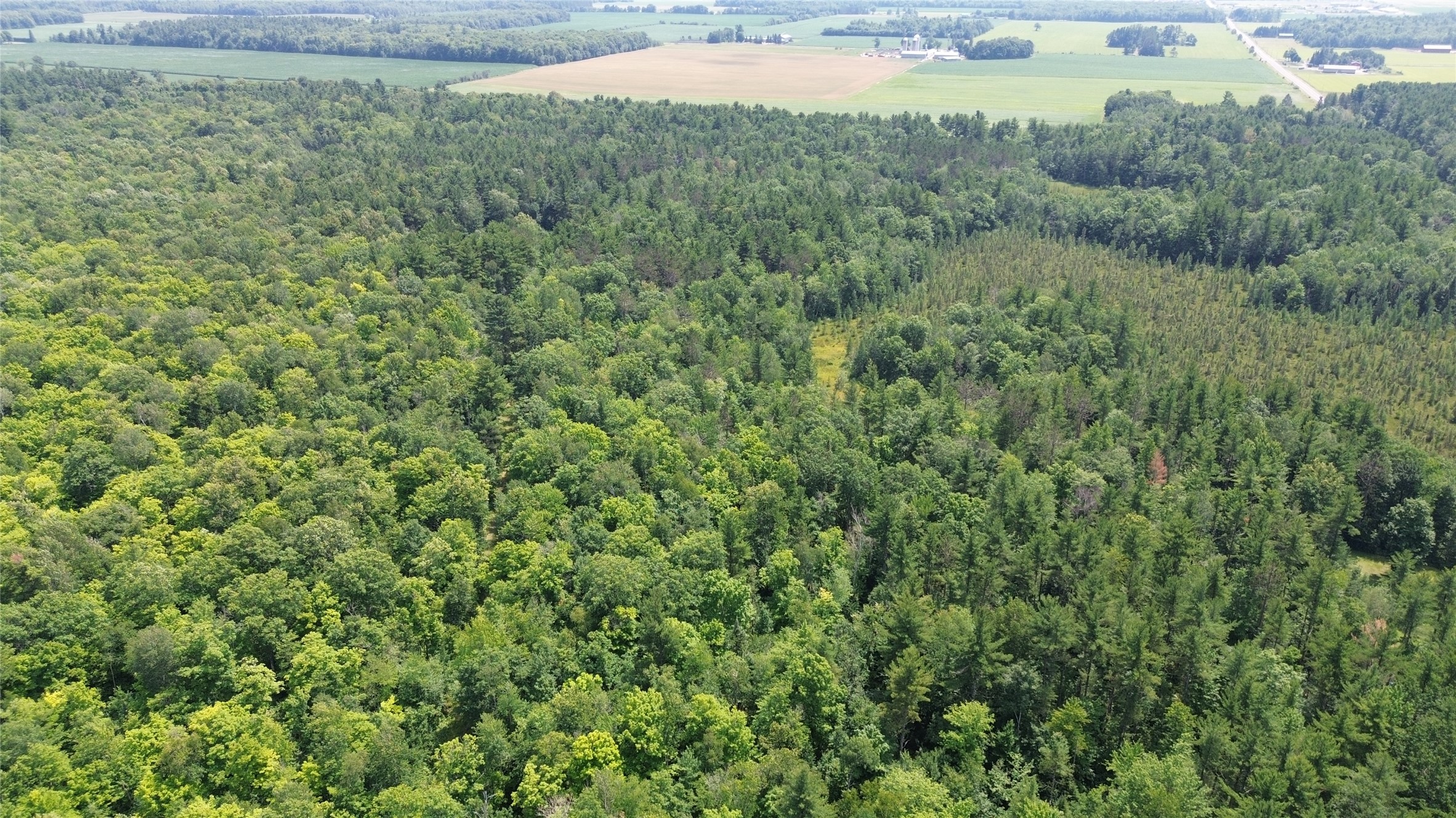 13743w State Highway 77 Property Photo 10
