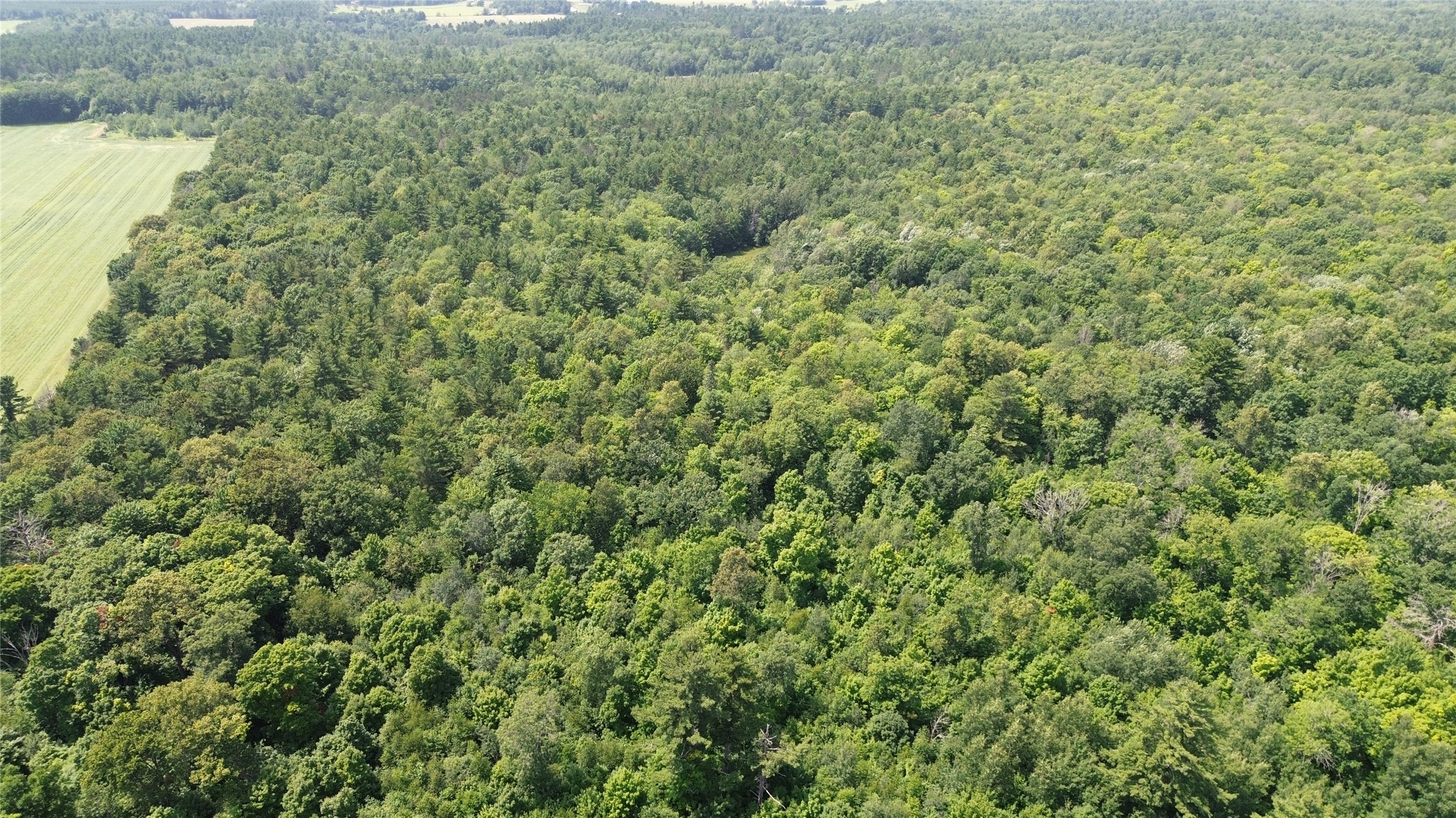 13743w State Highway 77 Property Photo 13