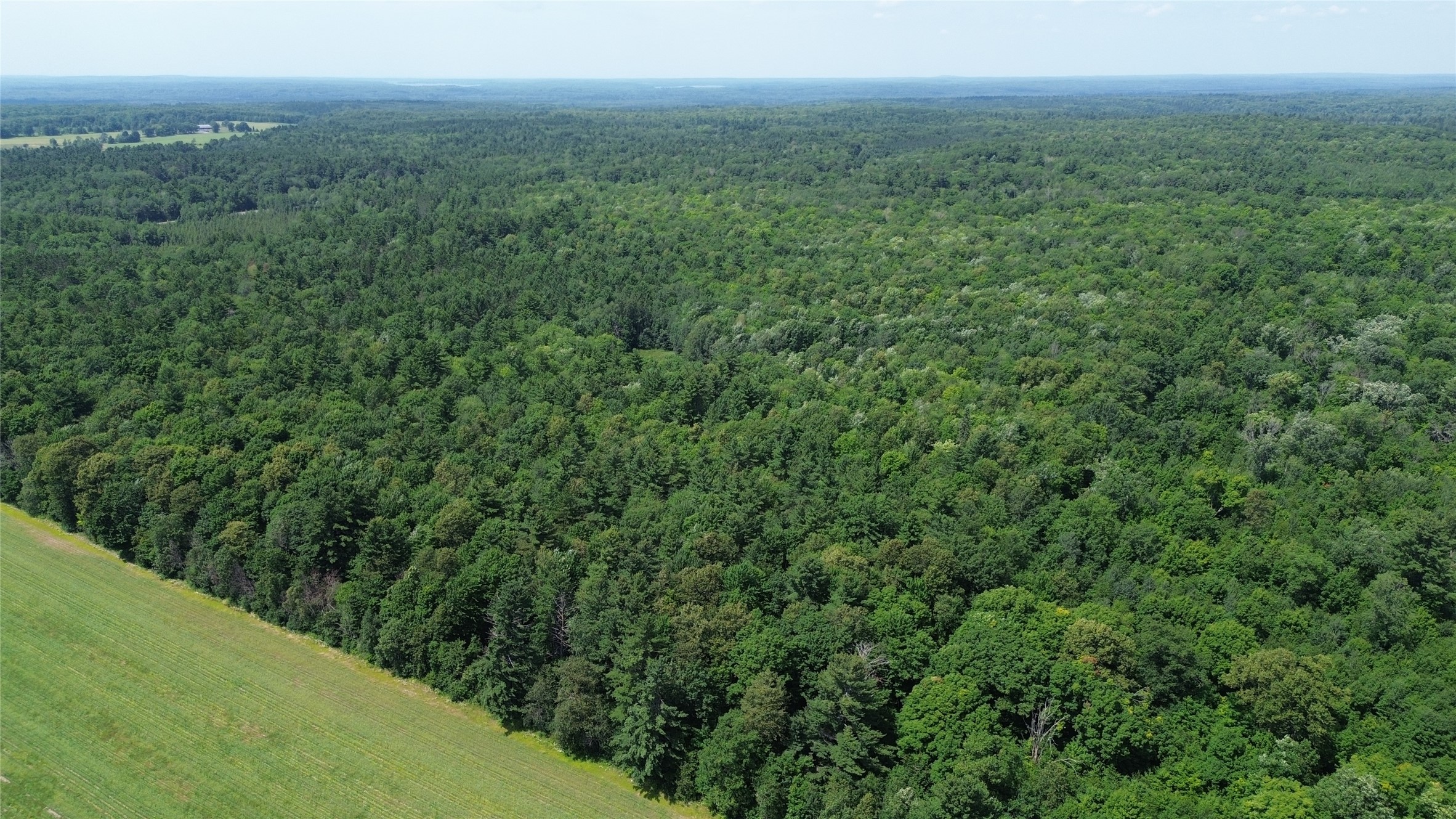 13743w State Highway 77 Property Photo 15