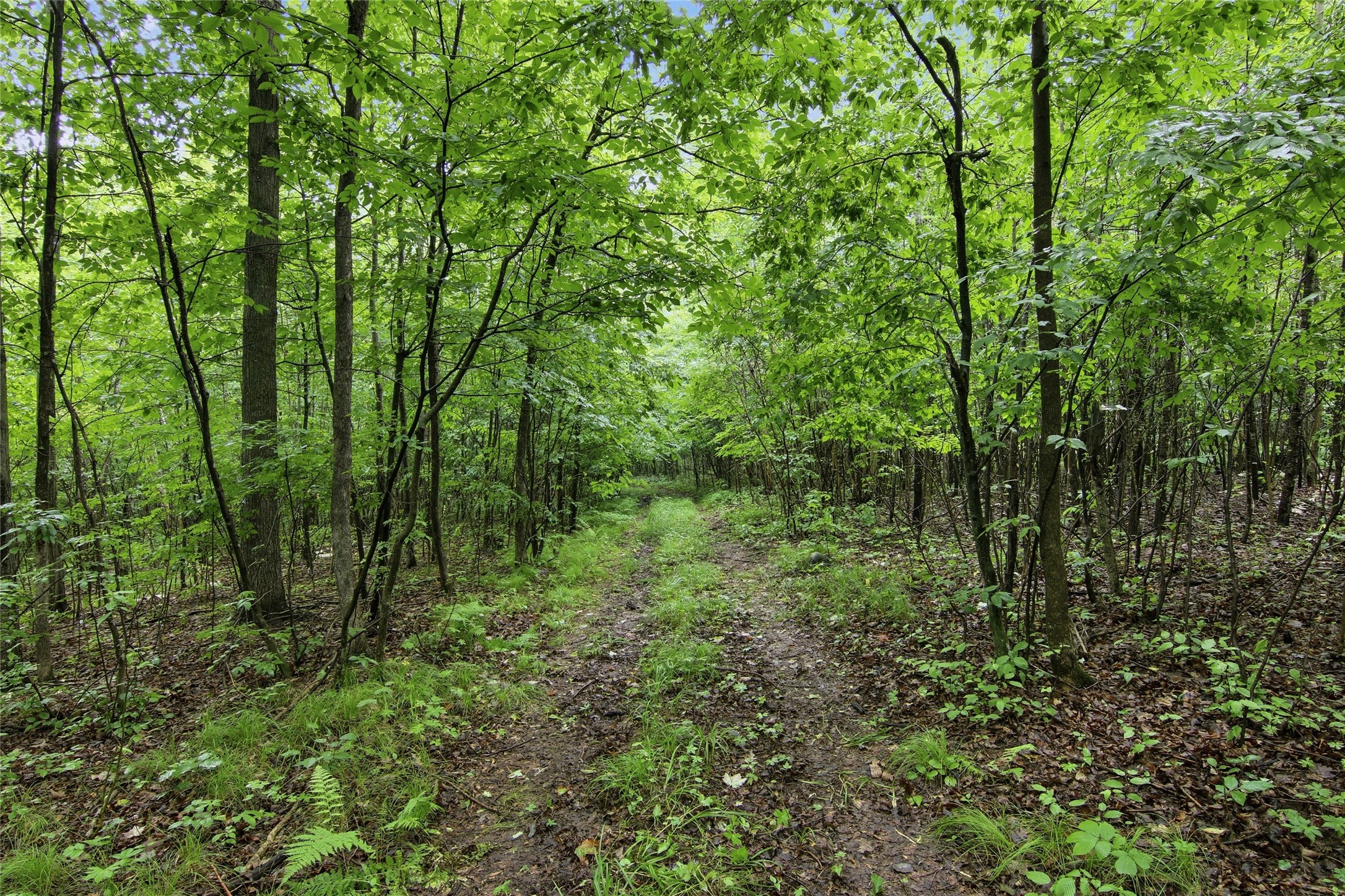 Lot 2 Csm 7522 4th Street Property Photo 6