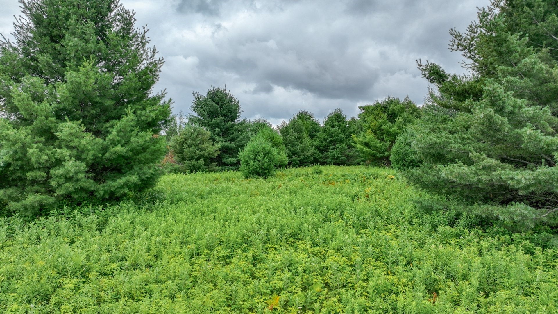 4e Twin Lake Road Property Photo 1