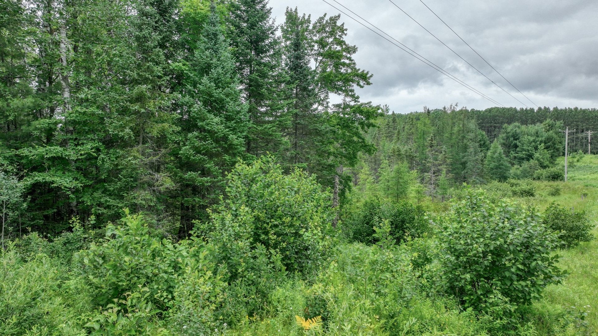4e Twin Lake Road Property Photo 12