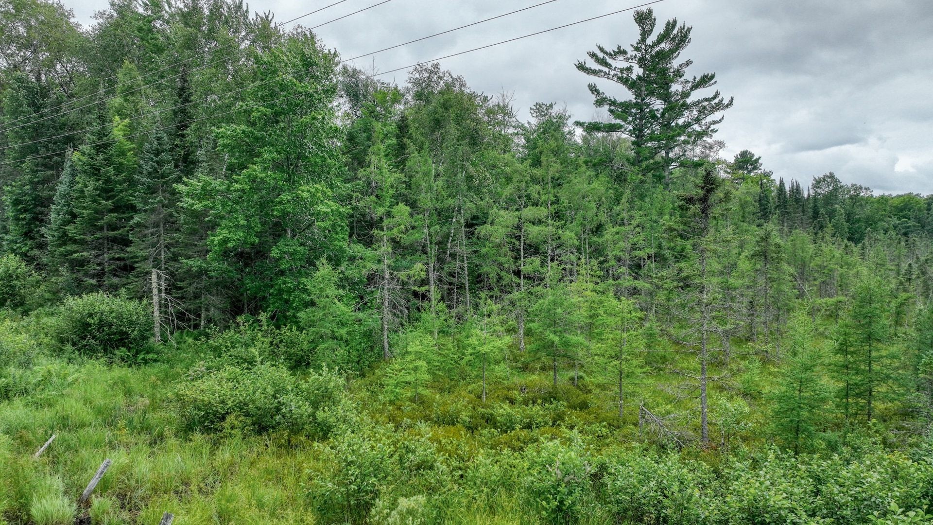 4e Twin Lake Road Property Photo 13