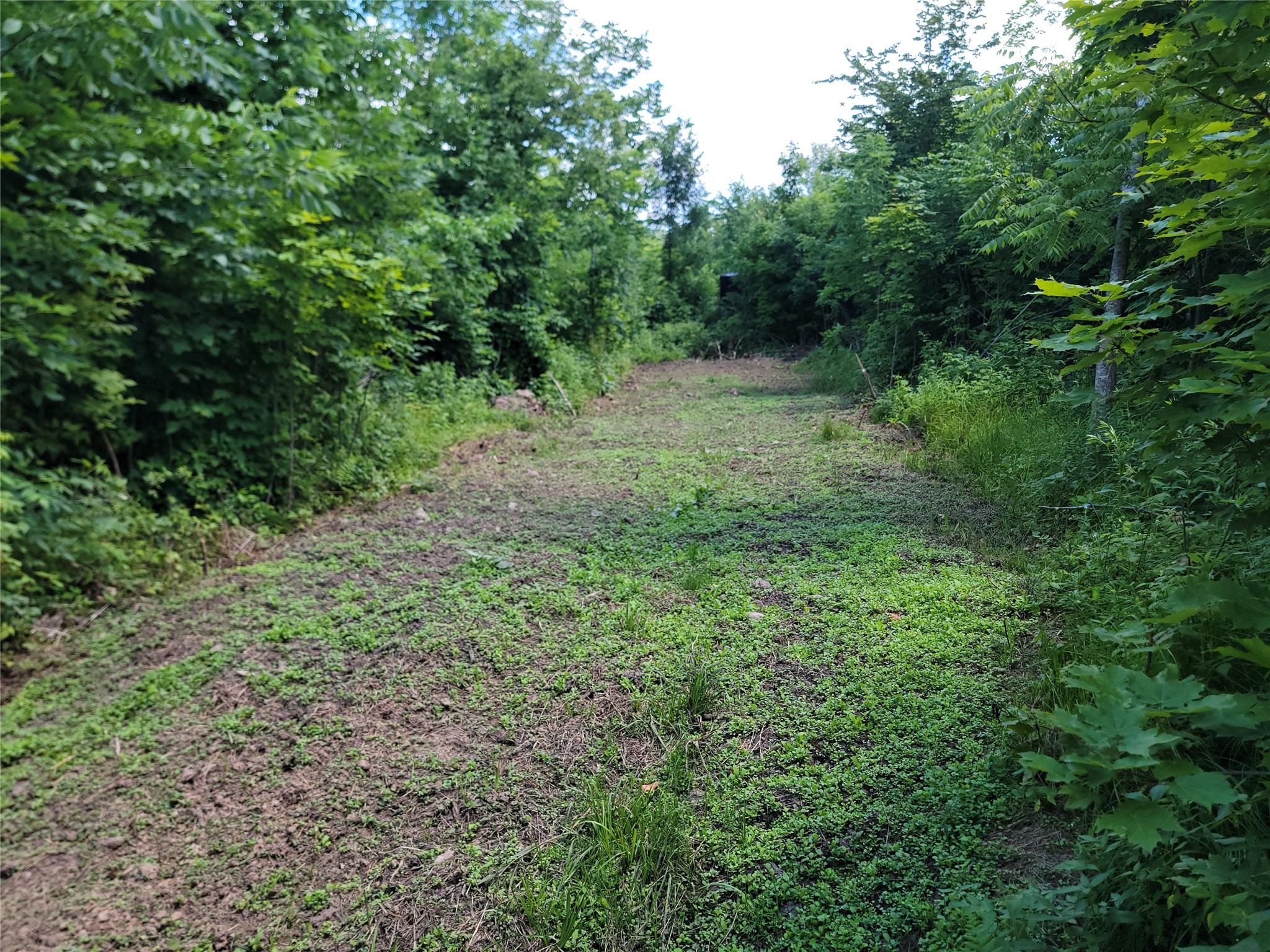 On County Road H Property Photo 4