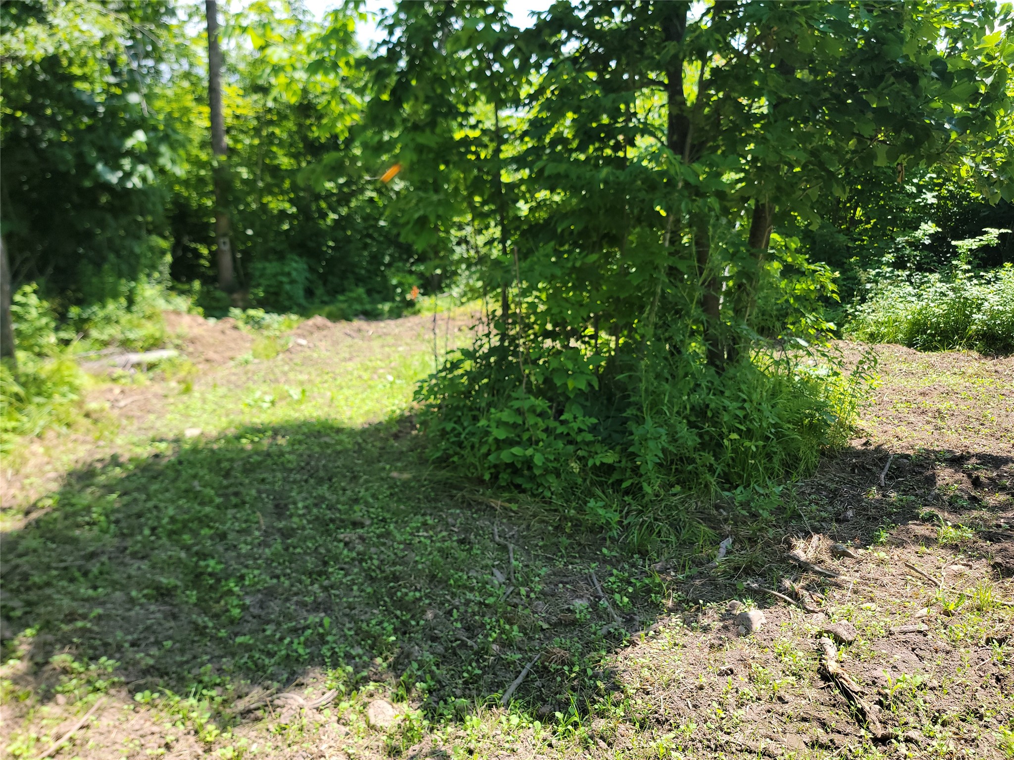 On County Road H Property Photo 6