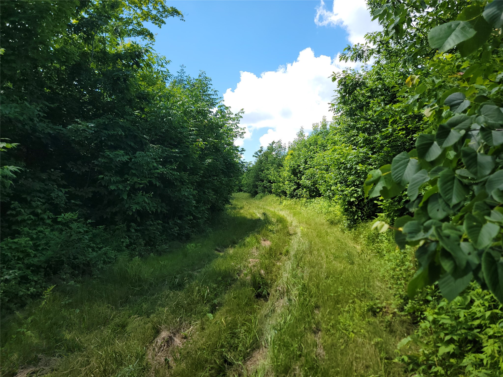 On County Road H Property Photo 11