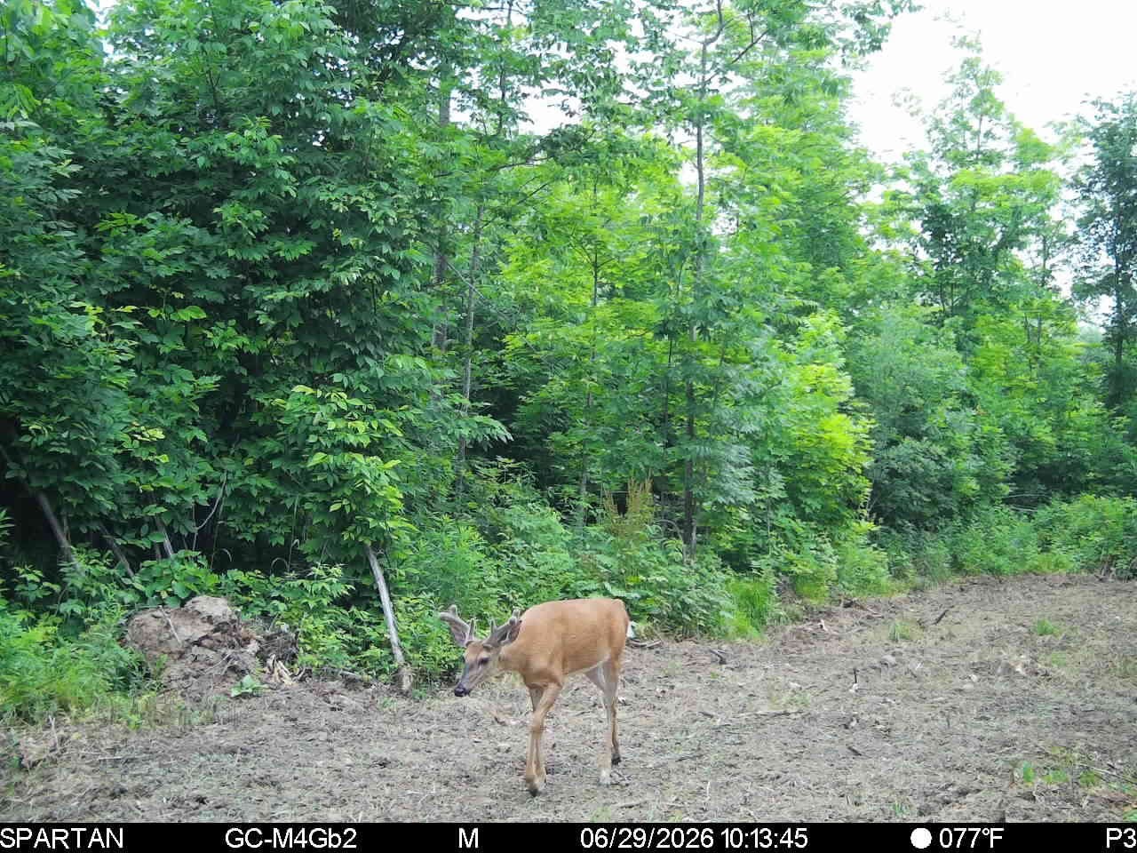 On County Road H Property Photo 15