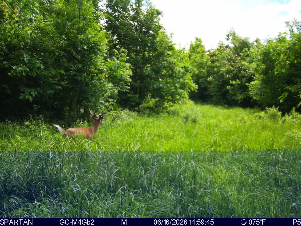 On County Road H Property Photo 17