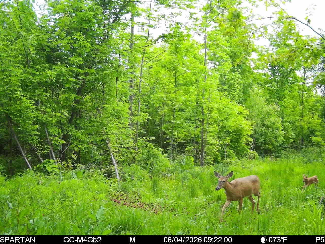 On County Road H Property Photo 21