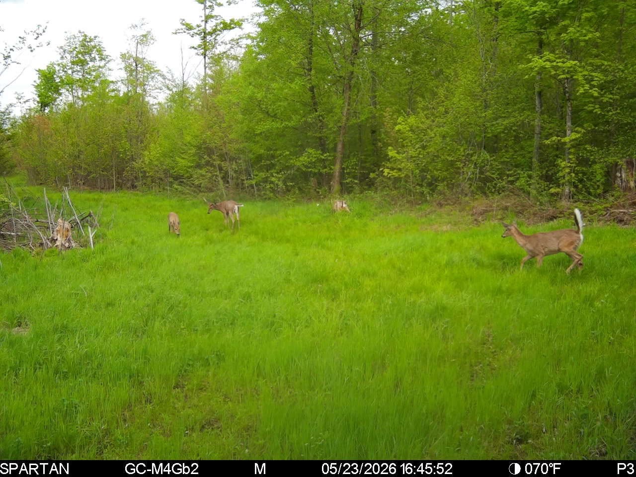 On County Road H Property Photo 23