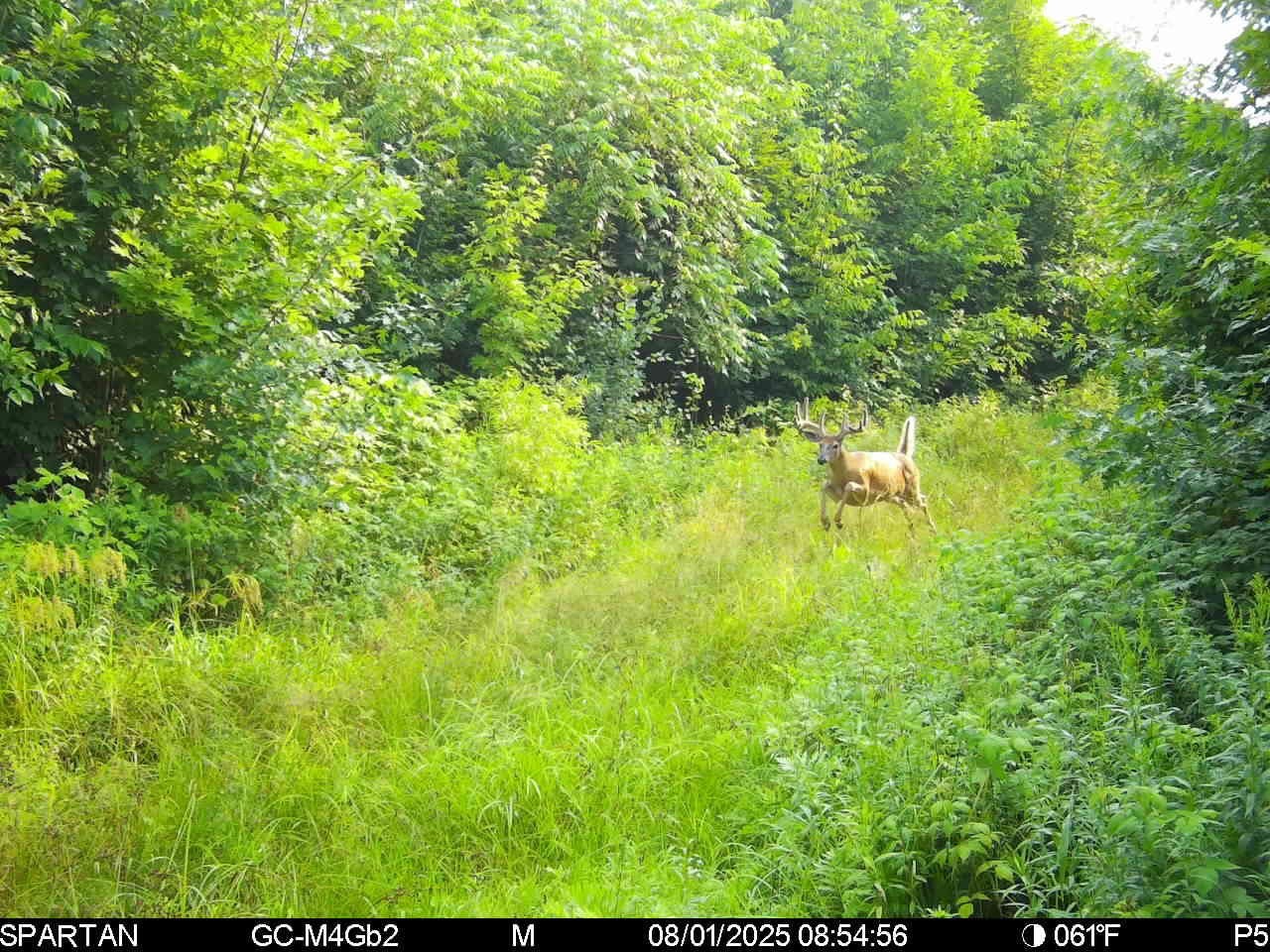 On County Road H Property Photo 25