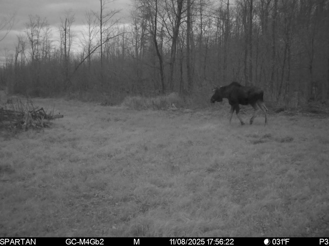 On County Road H Property Photo 27