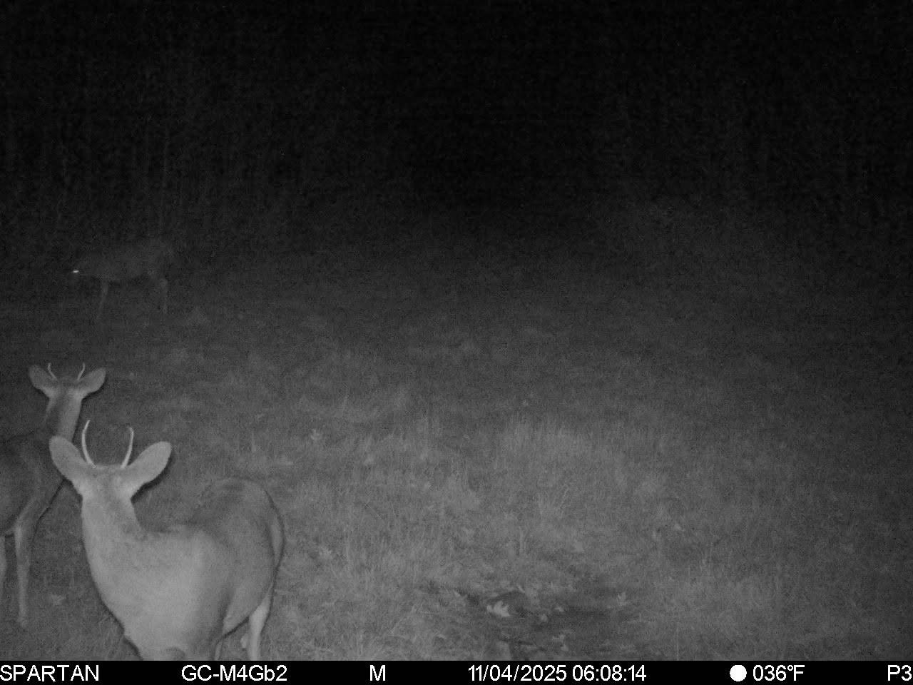 On County Road H Property Photo 28