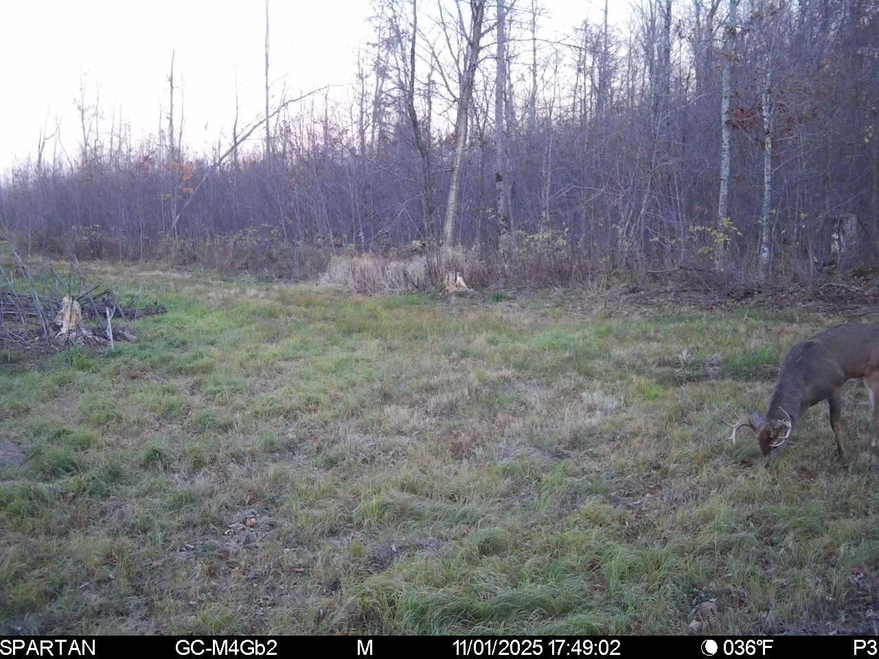 On County Road H Property Photo 29