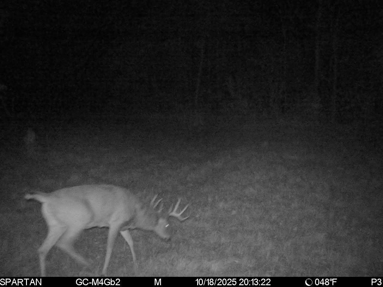 On County Road H Property Photo 30