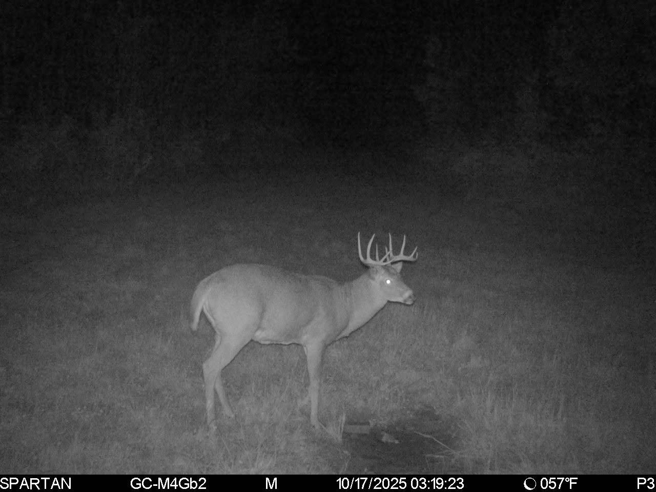 On County Road H Property Photo 31