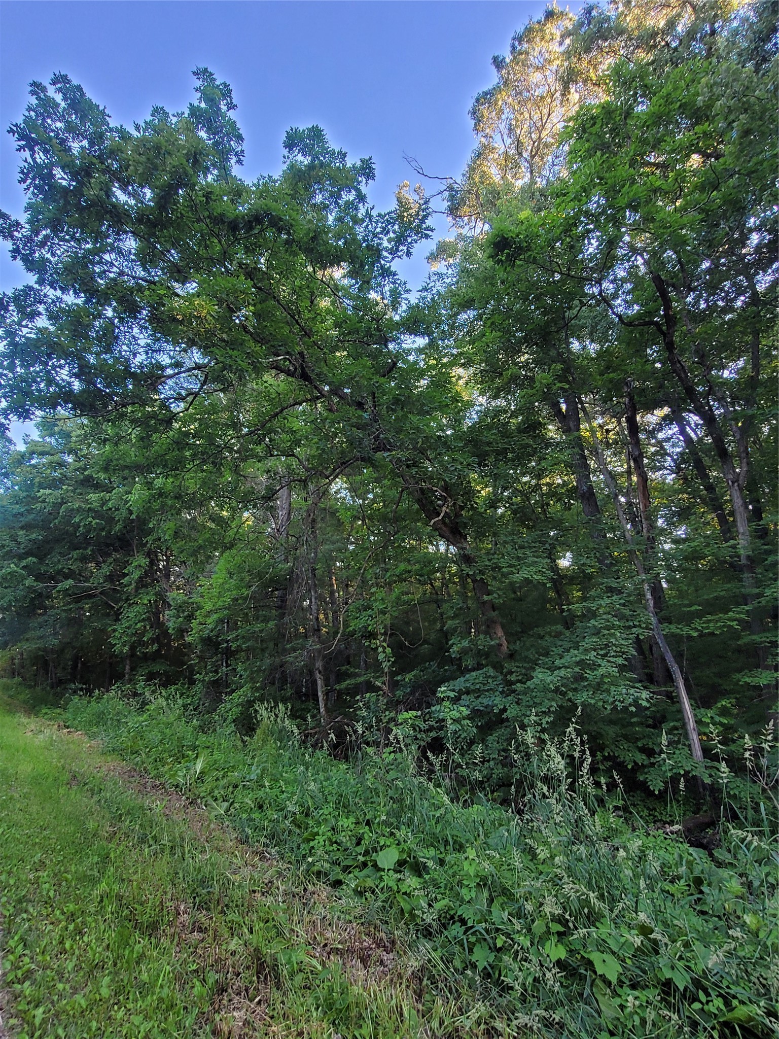 000 Lot 4 Us Highway 12 Property Photo 1