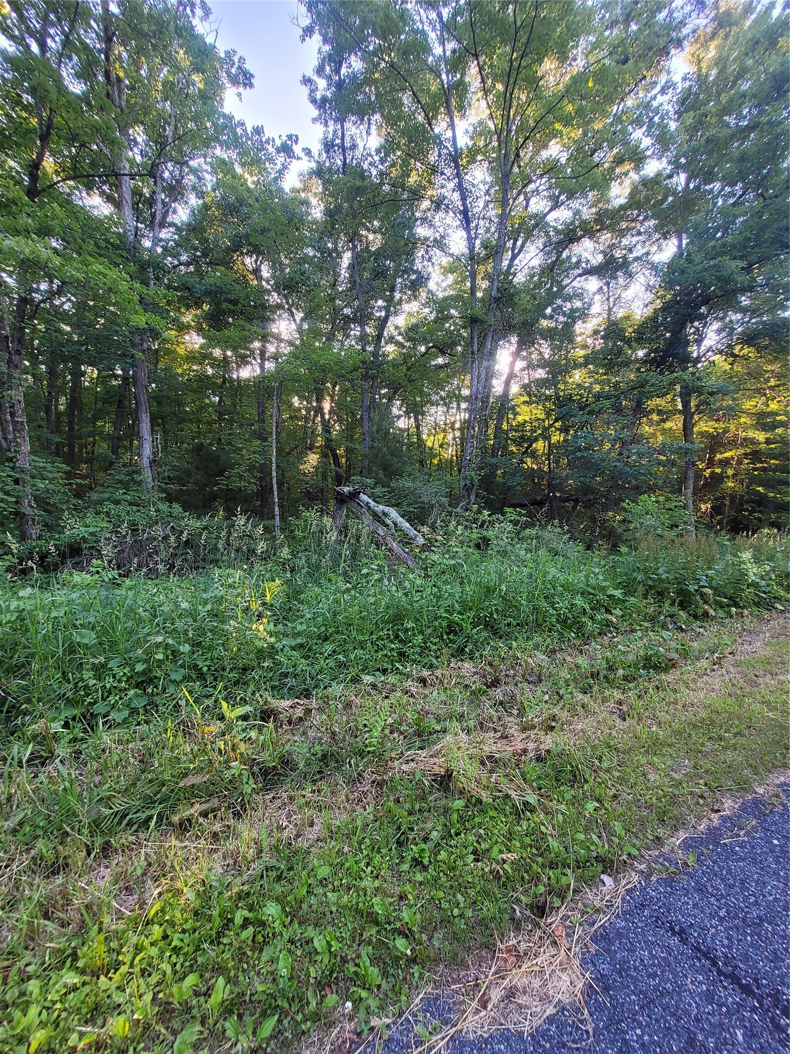 000 Lot 4 Us Highway 12 Property Photo 3