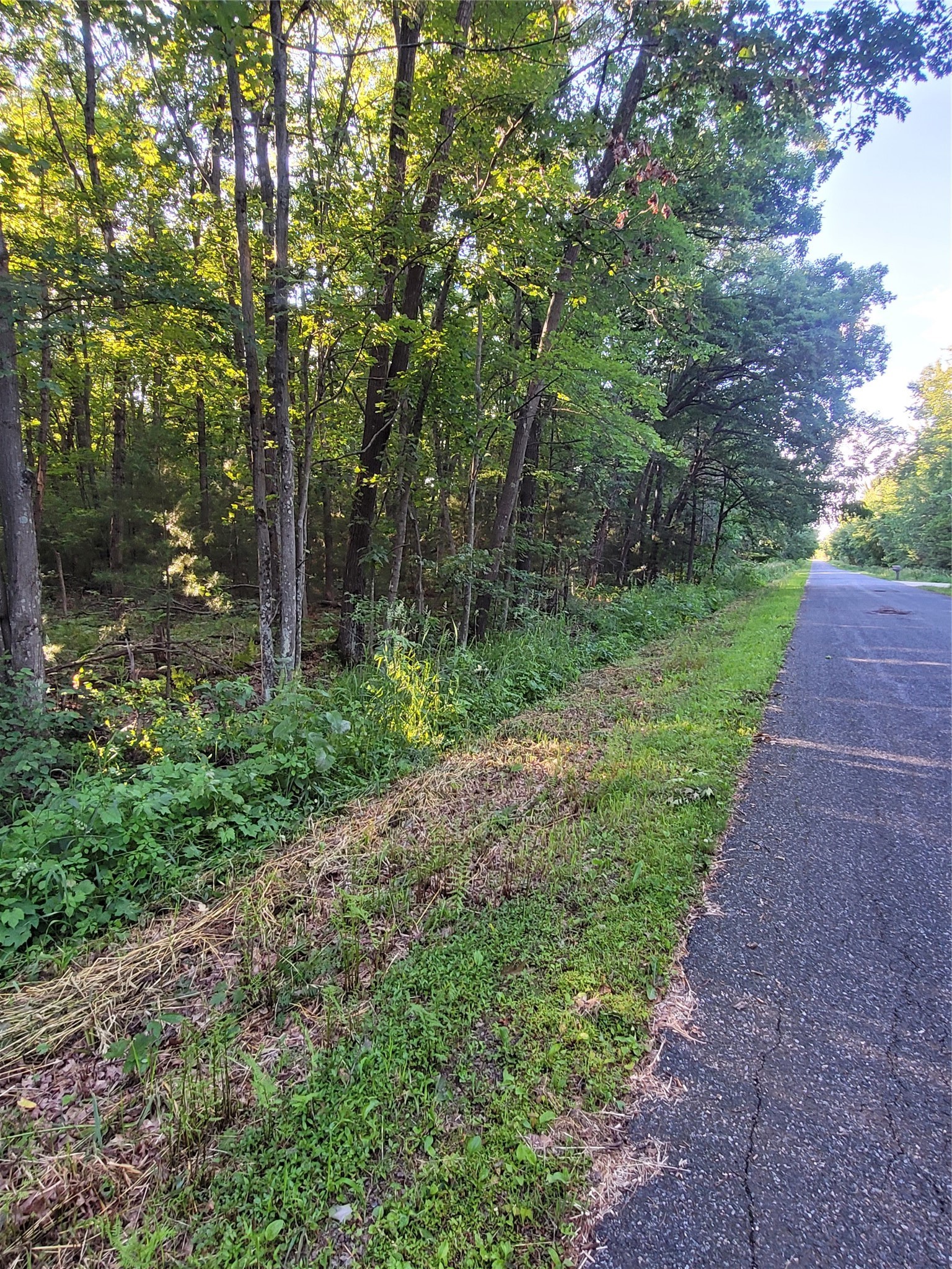 000 Lot 4 Us Highway 12 Property Photo 4