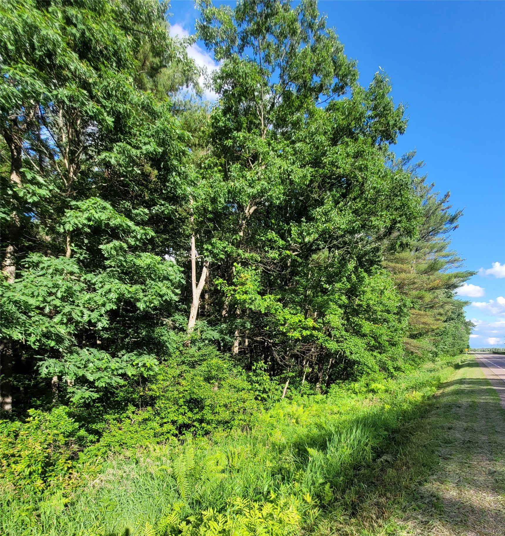 000 Lot 4 Us Highway 12 Property Photo 5