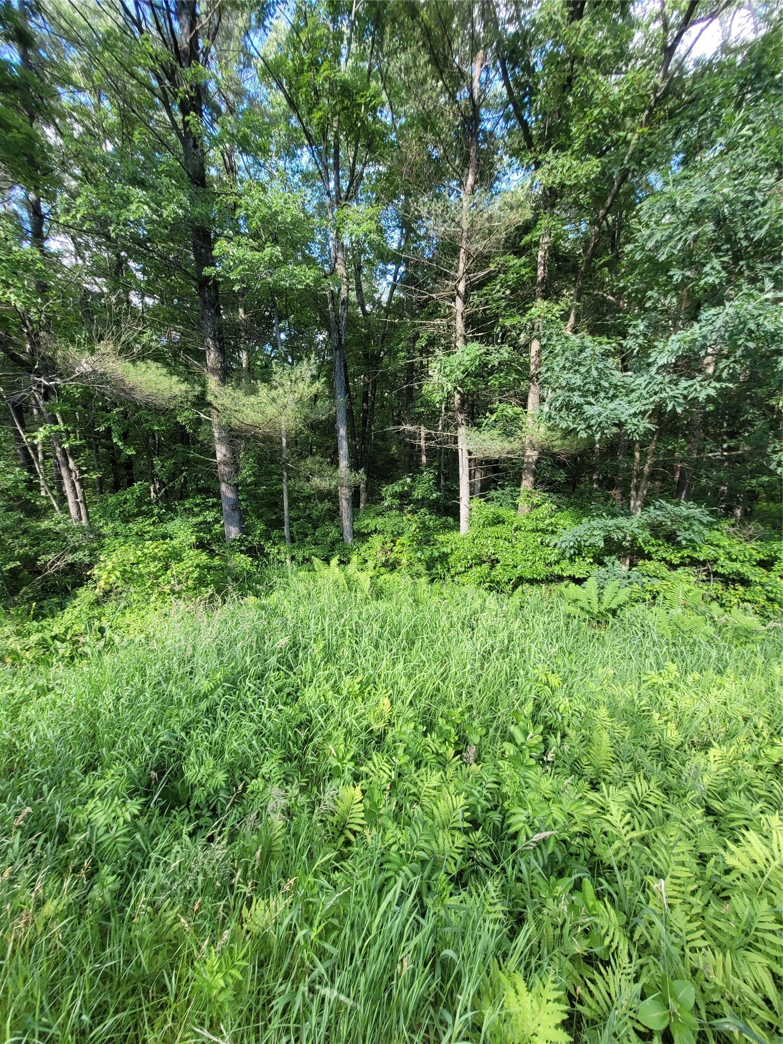 000 Lot 4 Us Highway 12 Property Photo 6