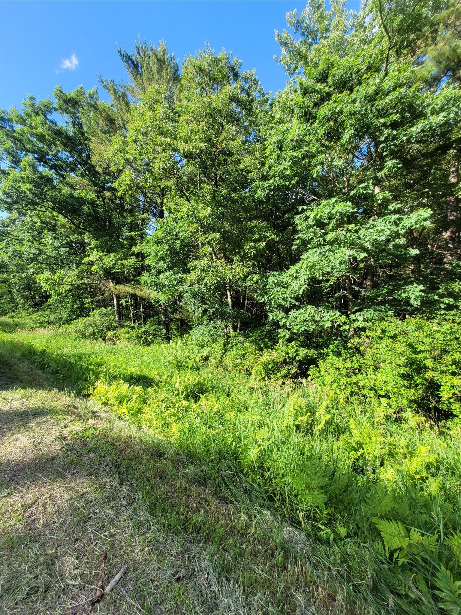 000 Lot 4 Us Highway 12 Property Photo 7
