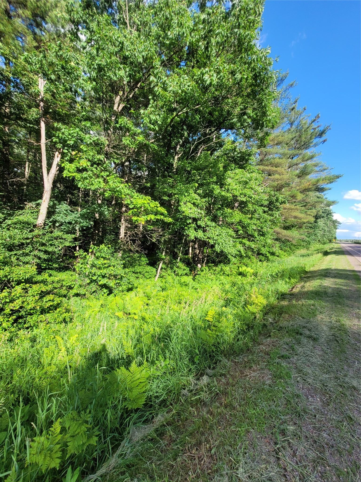 000 Lot 4 Us Highway 12 Property Photo 8