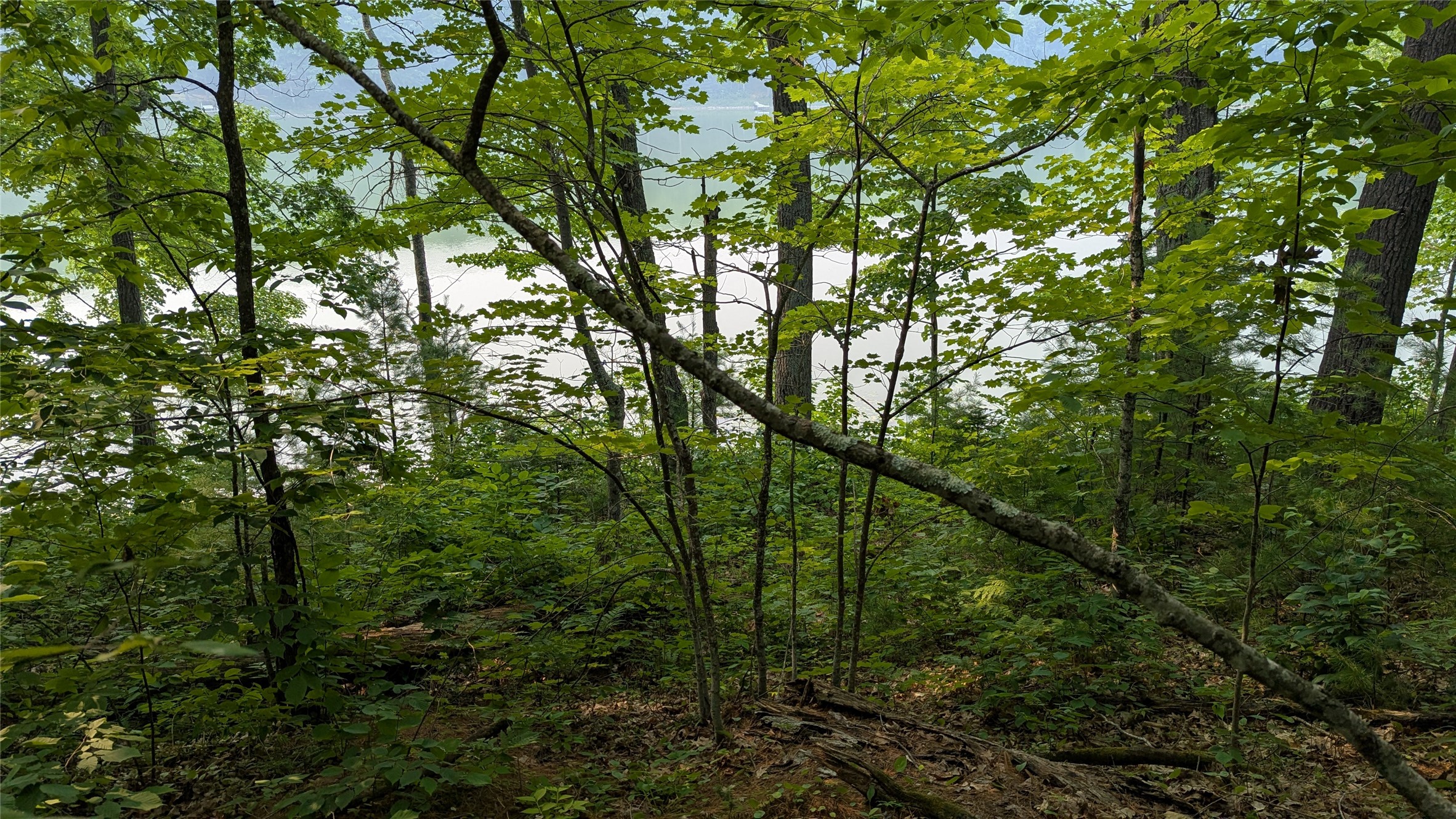 Lot 4 County Highway Cc Property Photo 4