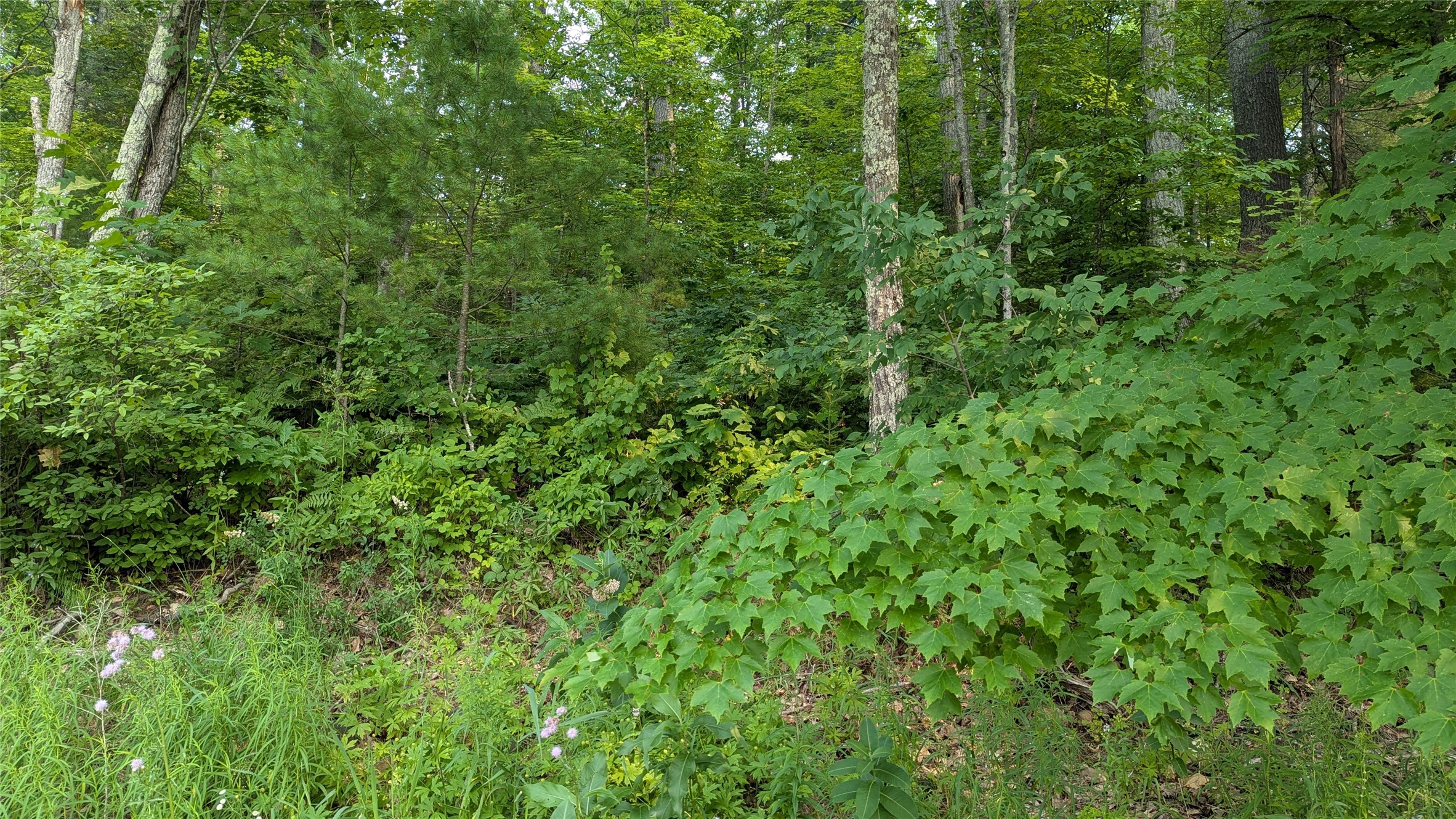 Lot 4 County Highway Cc Property Photo 6
