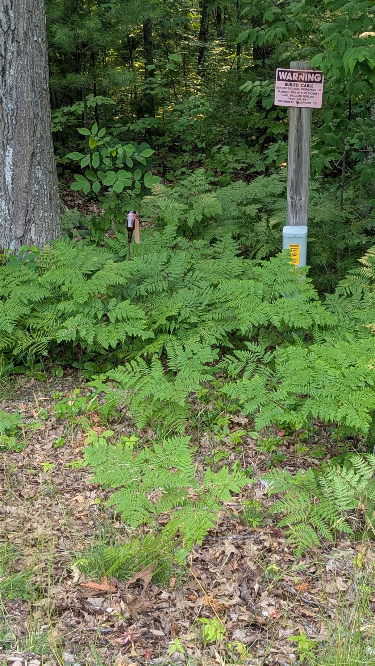 Lot 4 County Highway Cc Property Photo 12