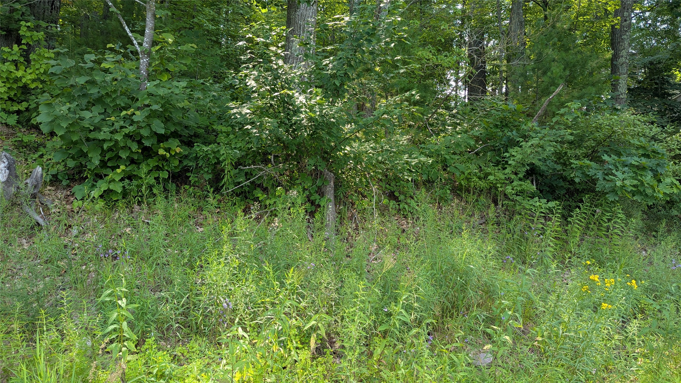 Lot 4 County Highway Cc Property Photo 15