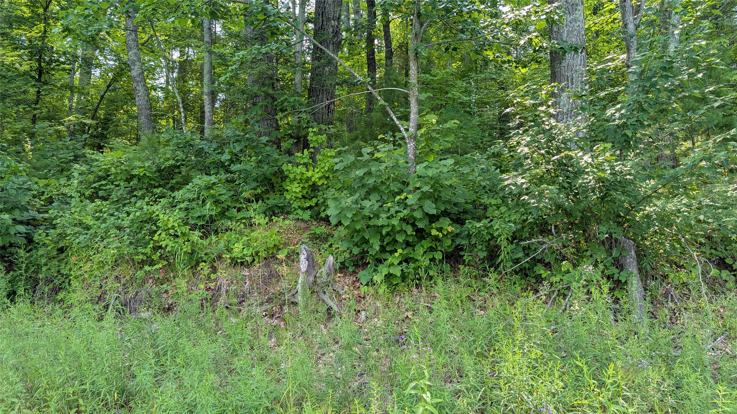 Lot 4 County Highway Cc Property Photo 16