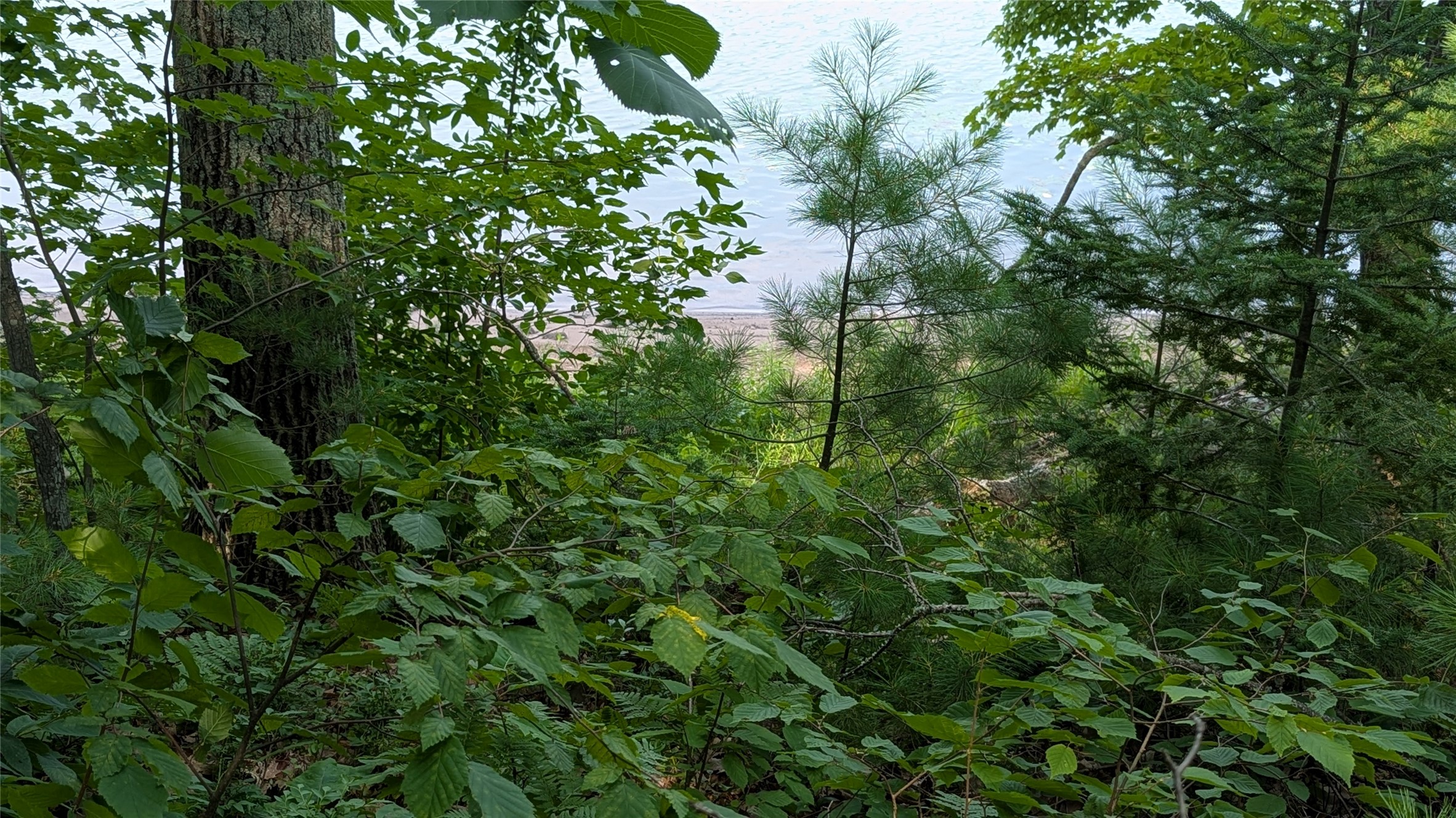 Lot 4 County Highway Cc Property Photo 20