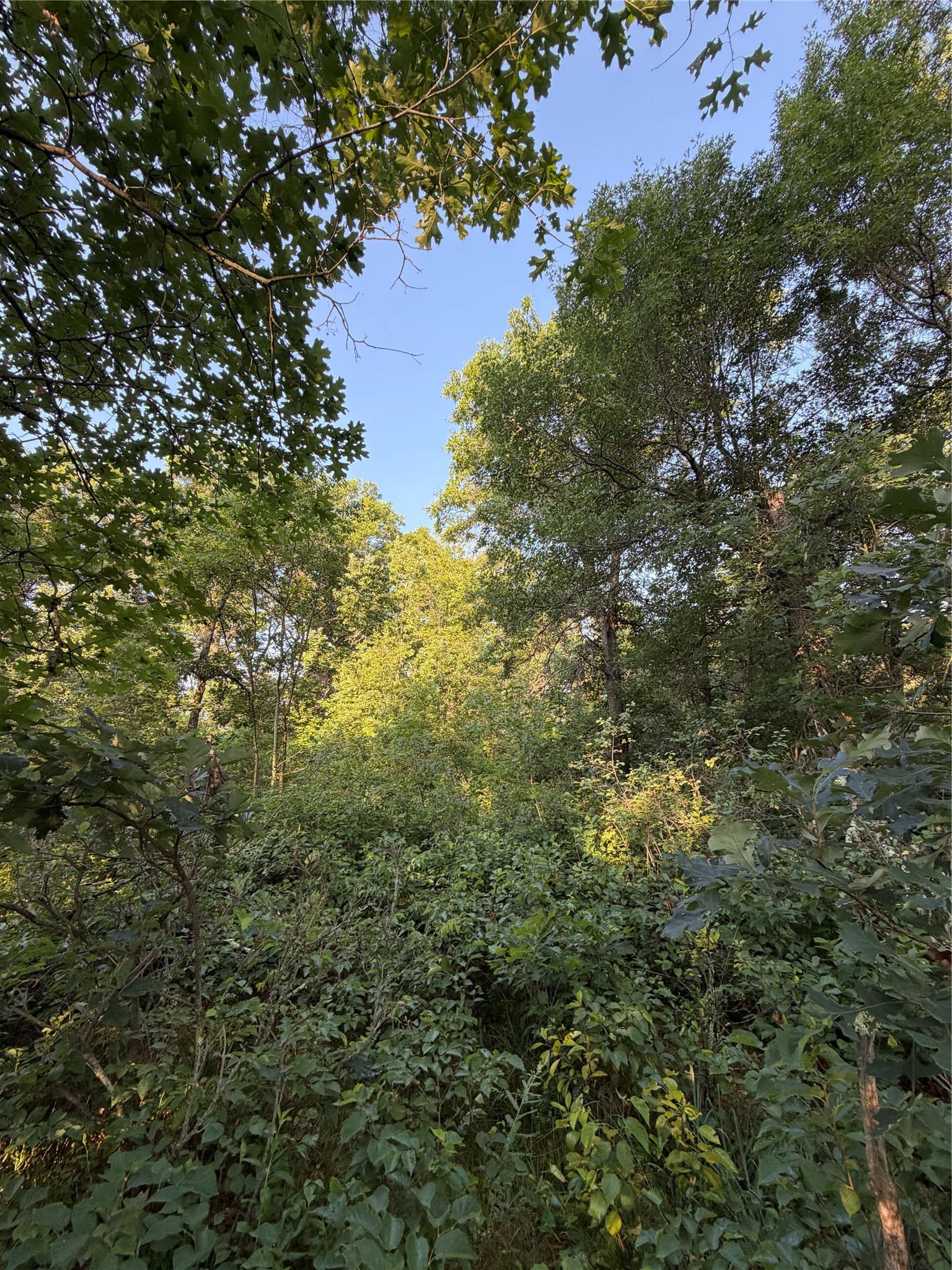 00000 Volkmann Lane Property Photo 3