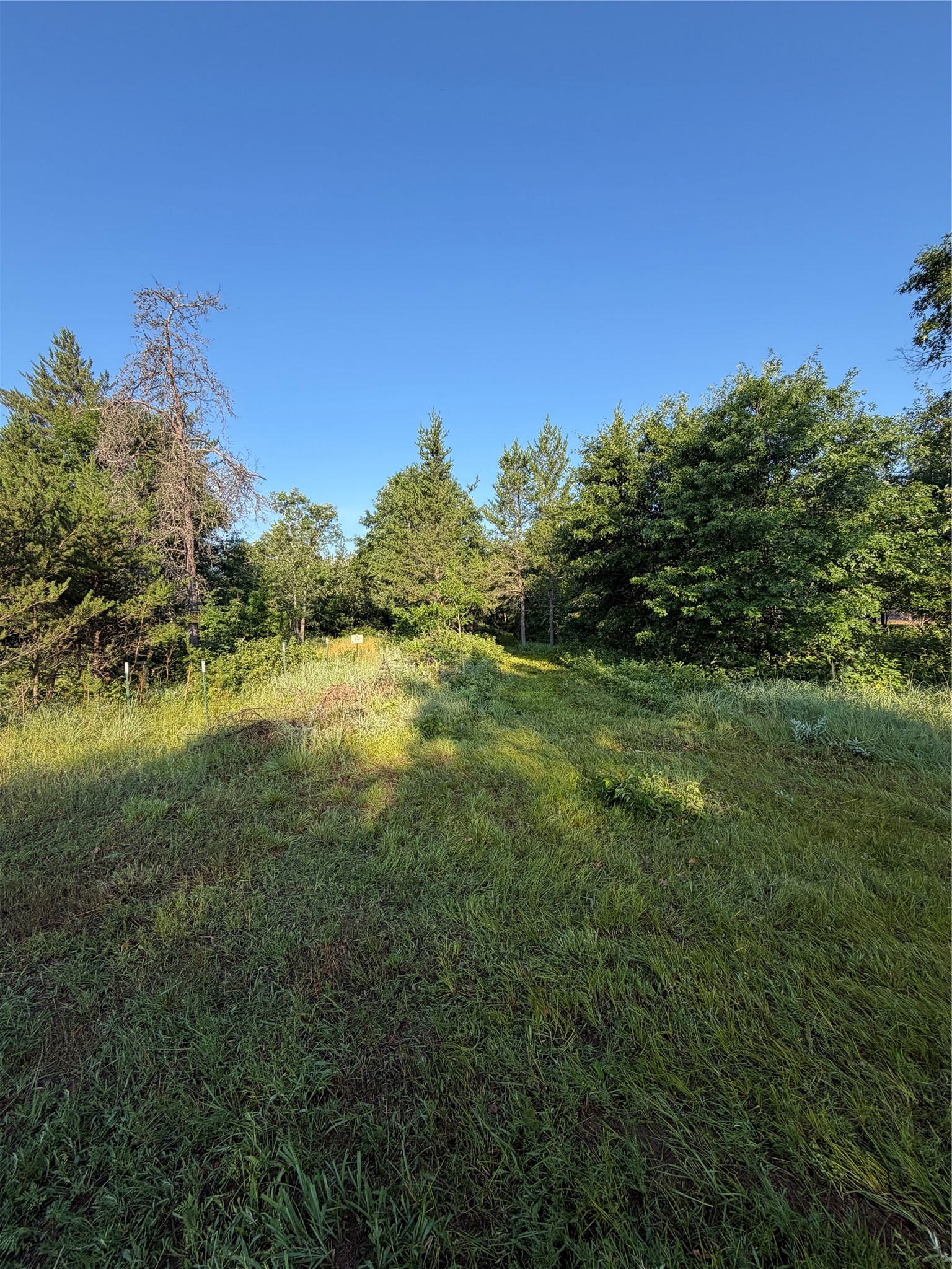 00000 Volkmann Lane Property Photo 8