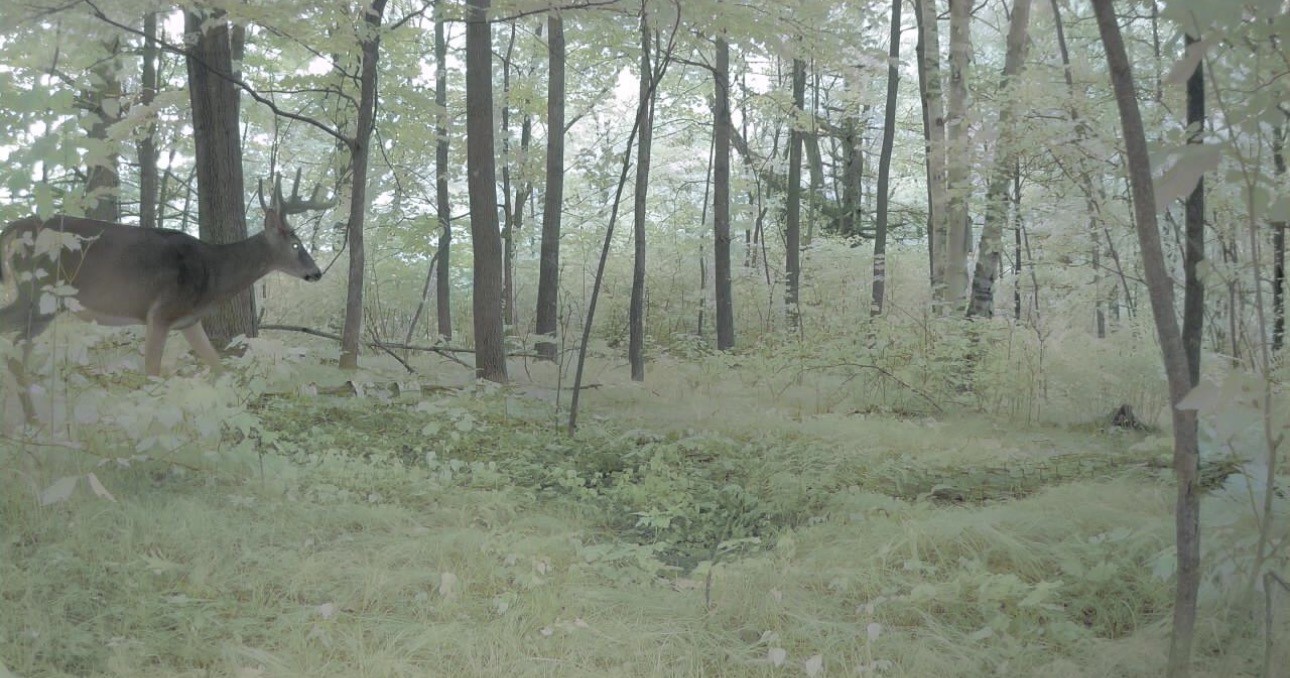 00 26 1/2 Avenue Property Photo 2