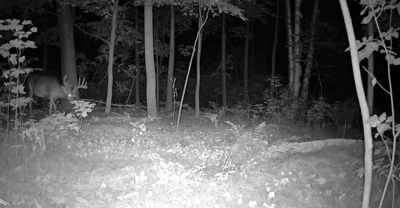 00 26 1/2 Avenue Property Photo 6