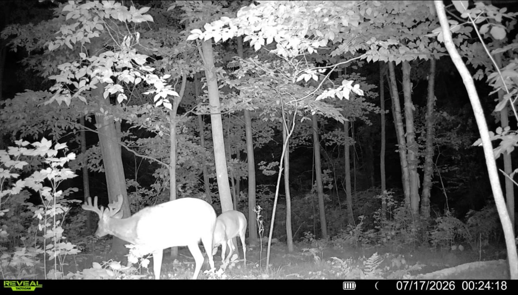 00 26 1/2 Avenue Property Photo 9