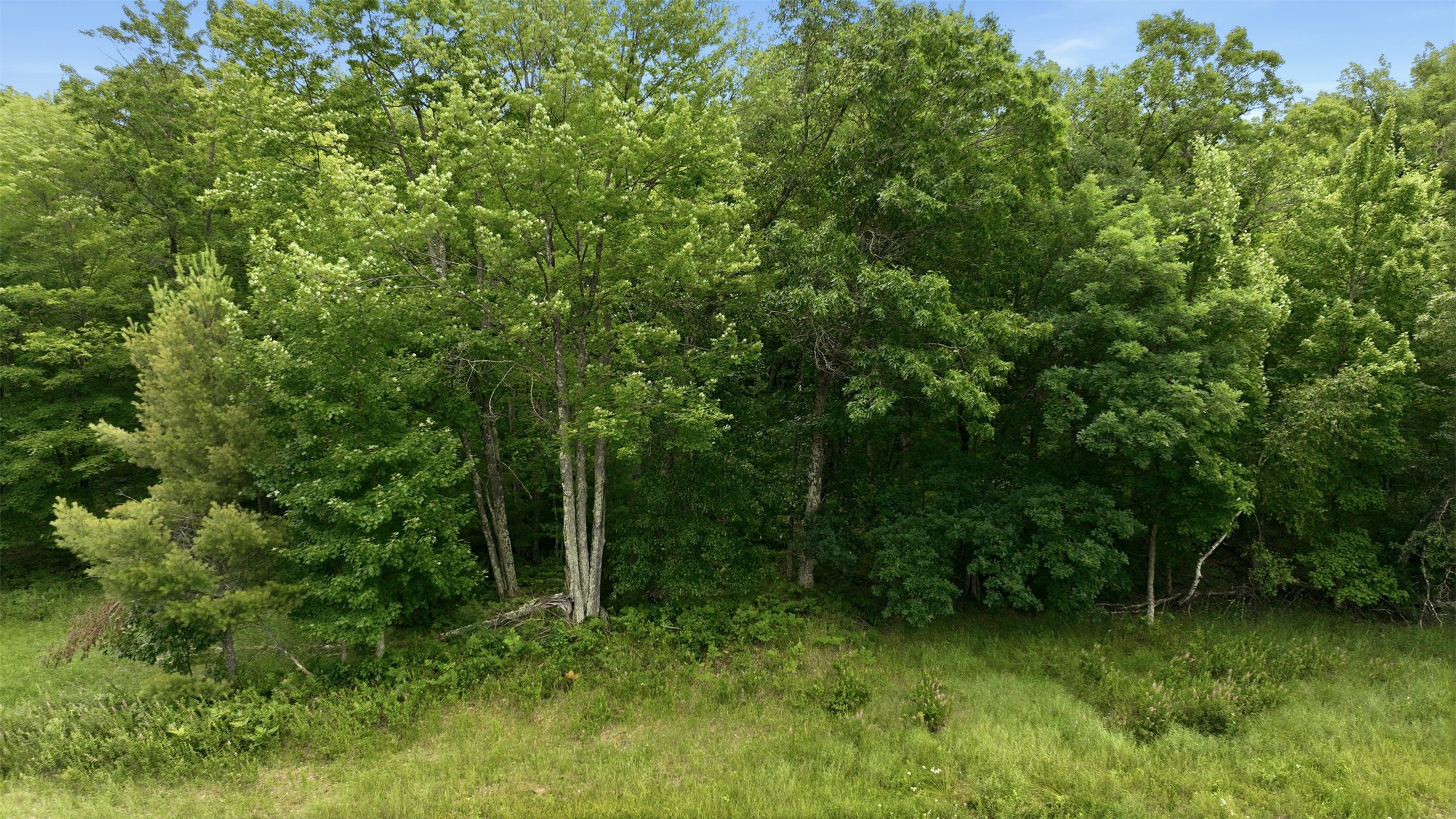 0 Goose Lake Property Photo 4