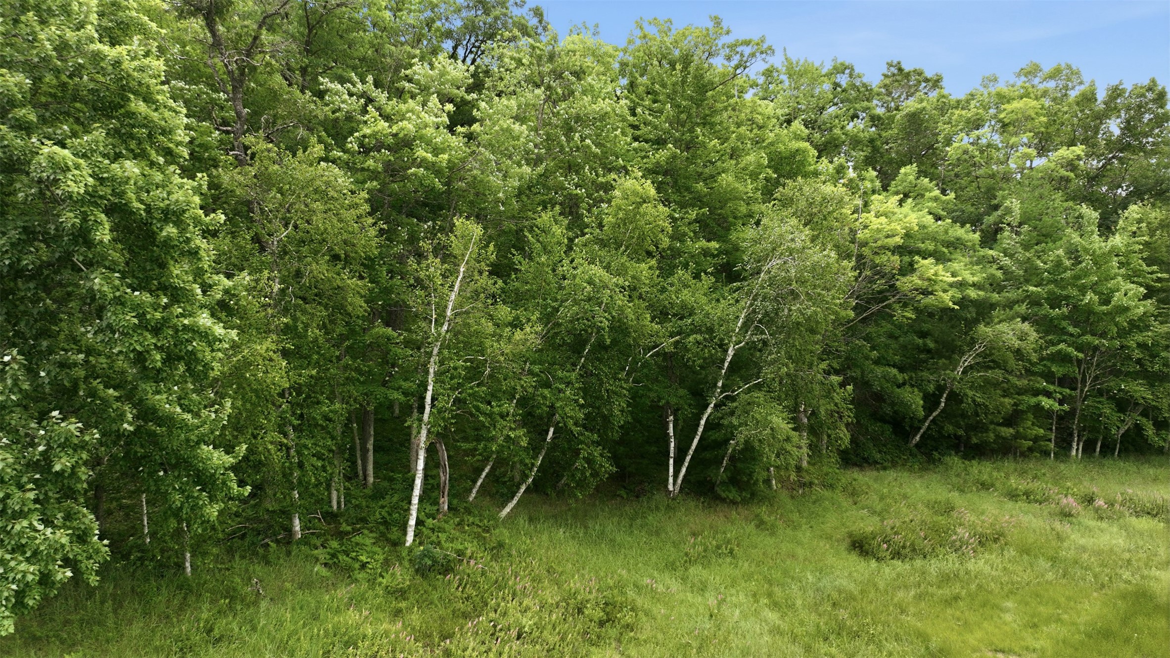 0 Goose Lake Property Photo 5