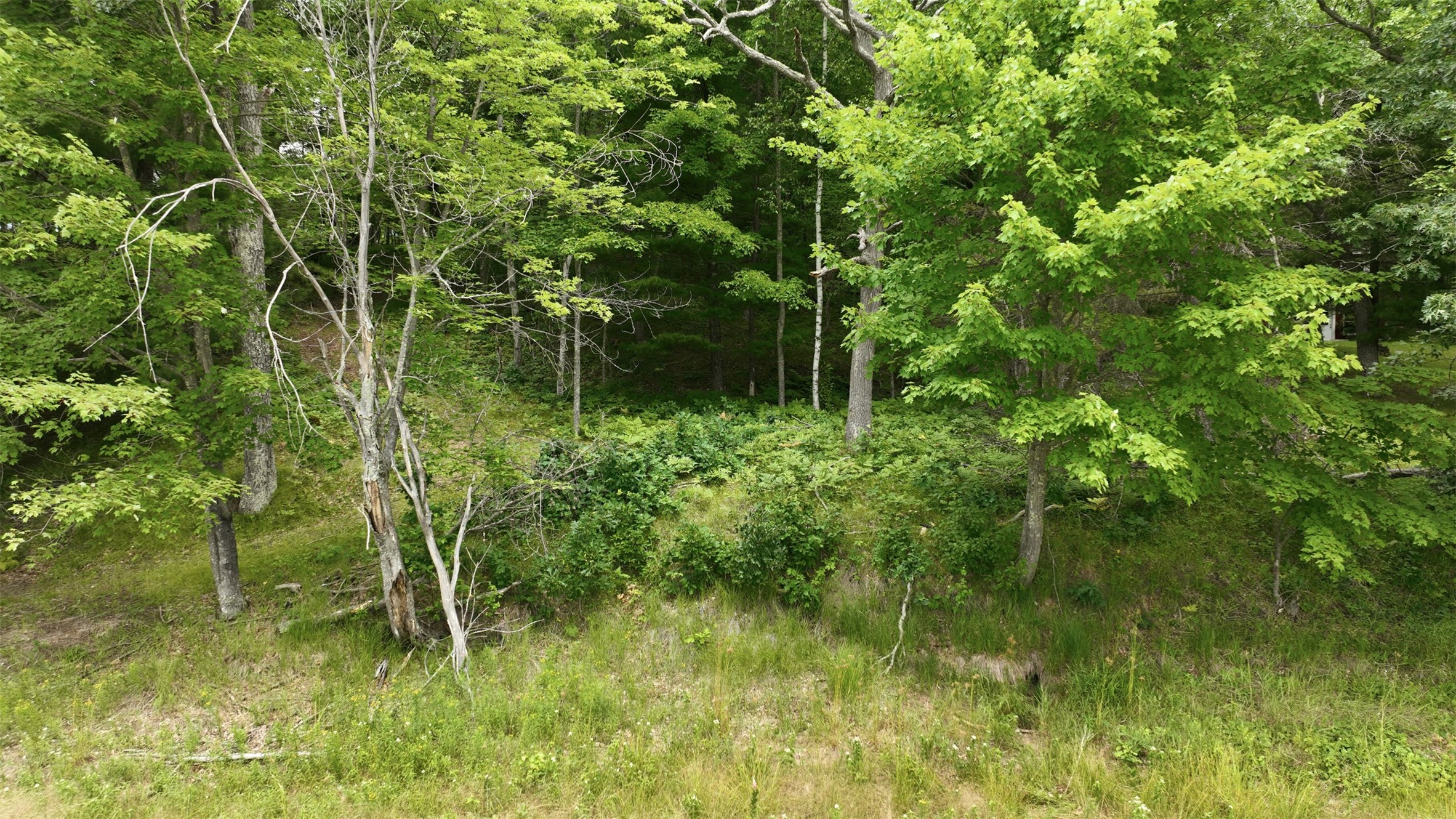 0 Goose Lake Property Photo 15