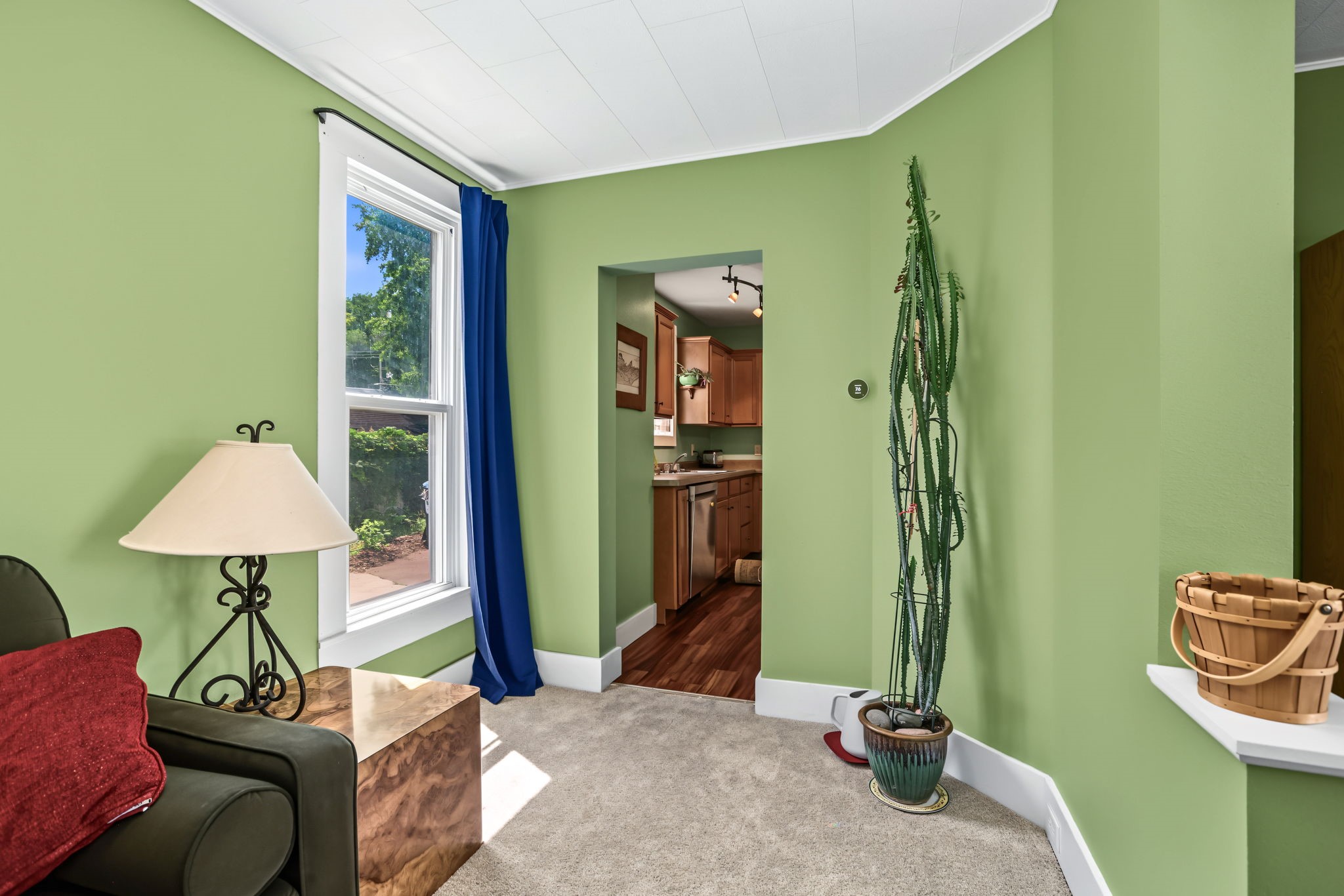 238 Illinois Street Property Photo 5