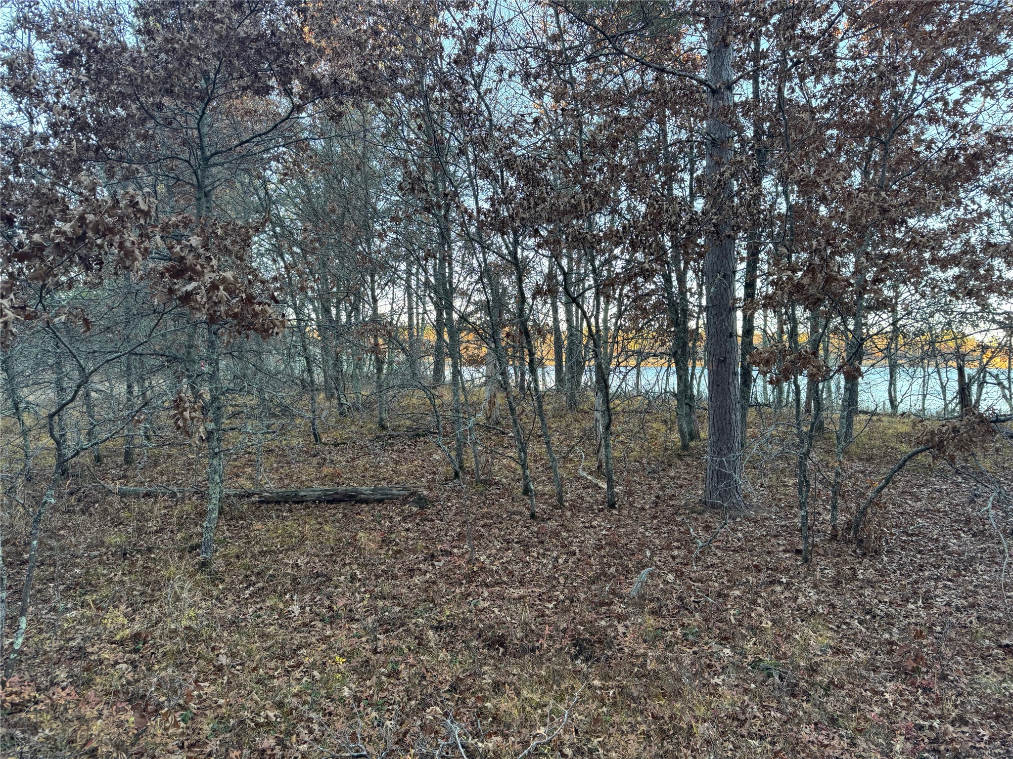 Lot 3 Big Sand Road Property Photo 12
