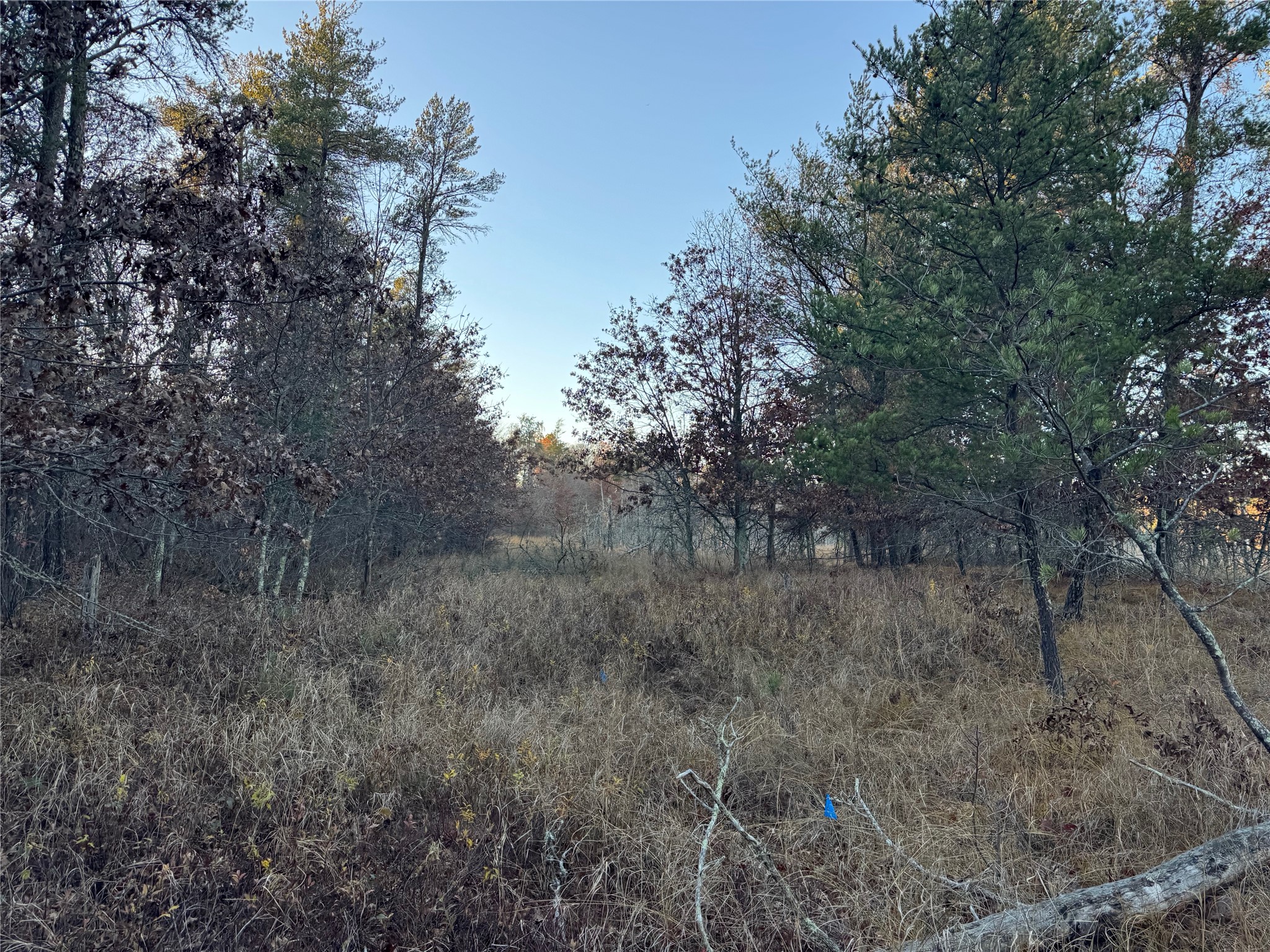 Lot 3 Big Sand Road Property Photo 23