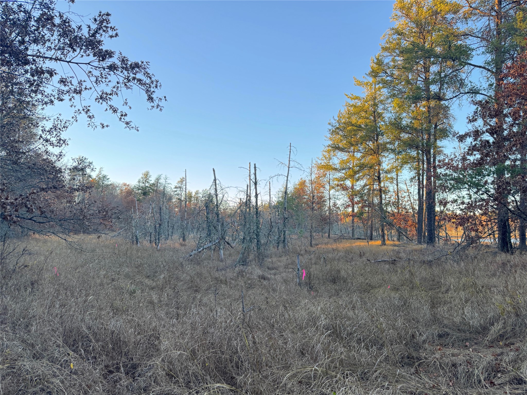 Lot 3 Big Sand Road Property Photo 26