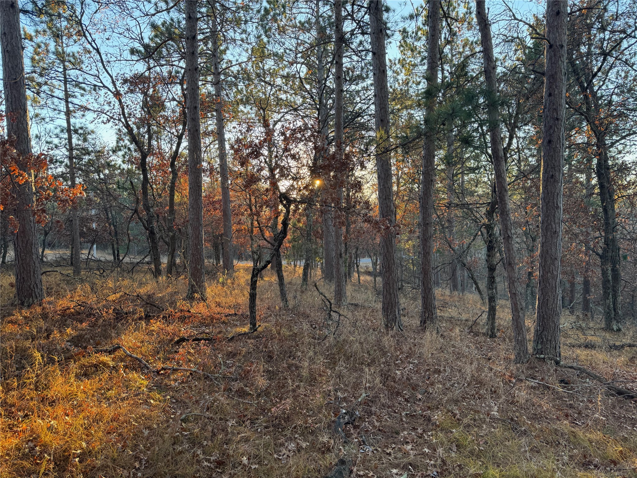 Lot 3 Big Sand Road Property Photo 28
