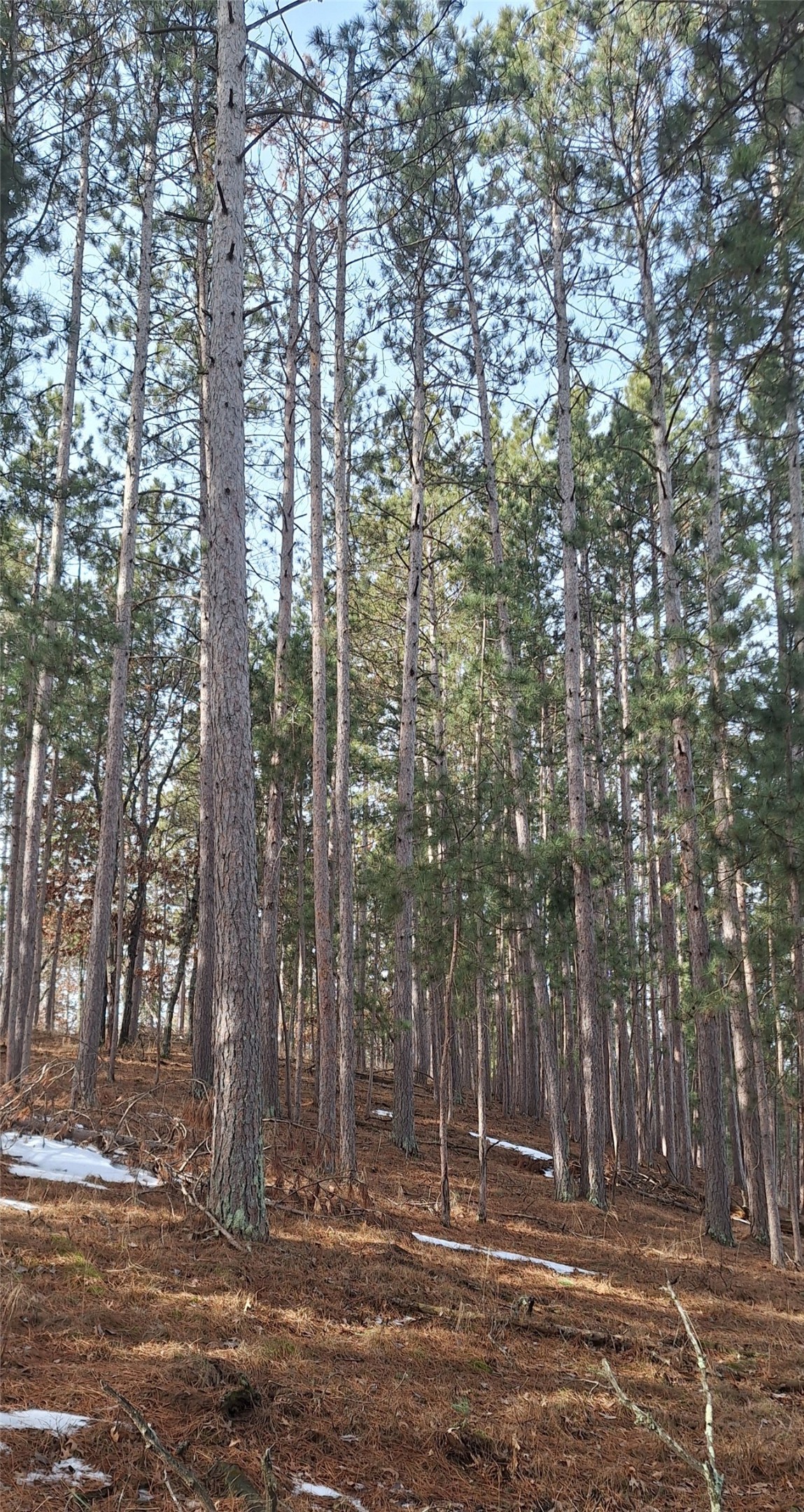 Lot 4 Big Sand Road Property Photo 13