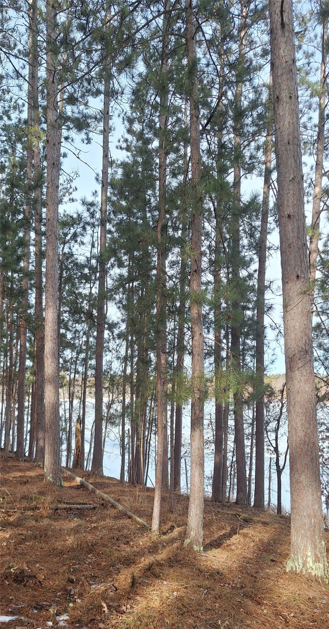 Lot 4 Big Sand Road Property Photo 15