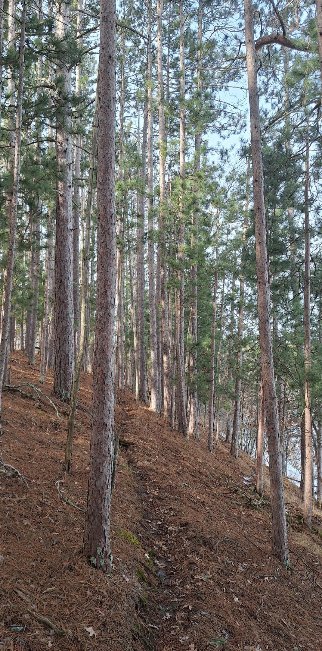Lot 4 Big Sand Road Property Photo 17