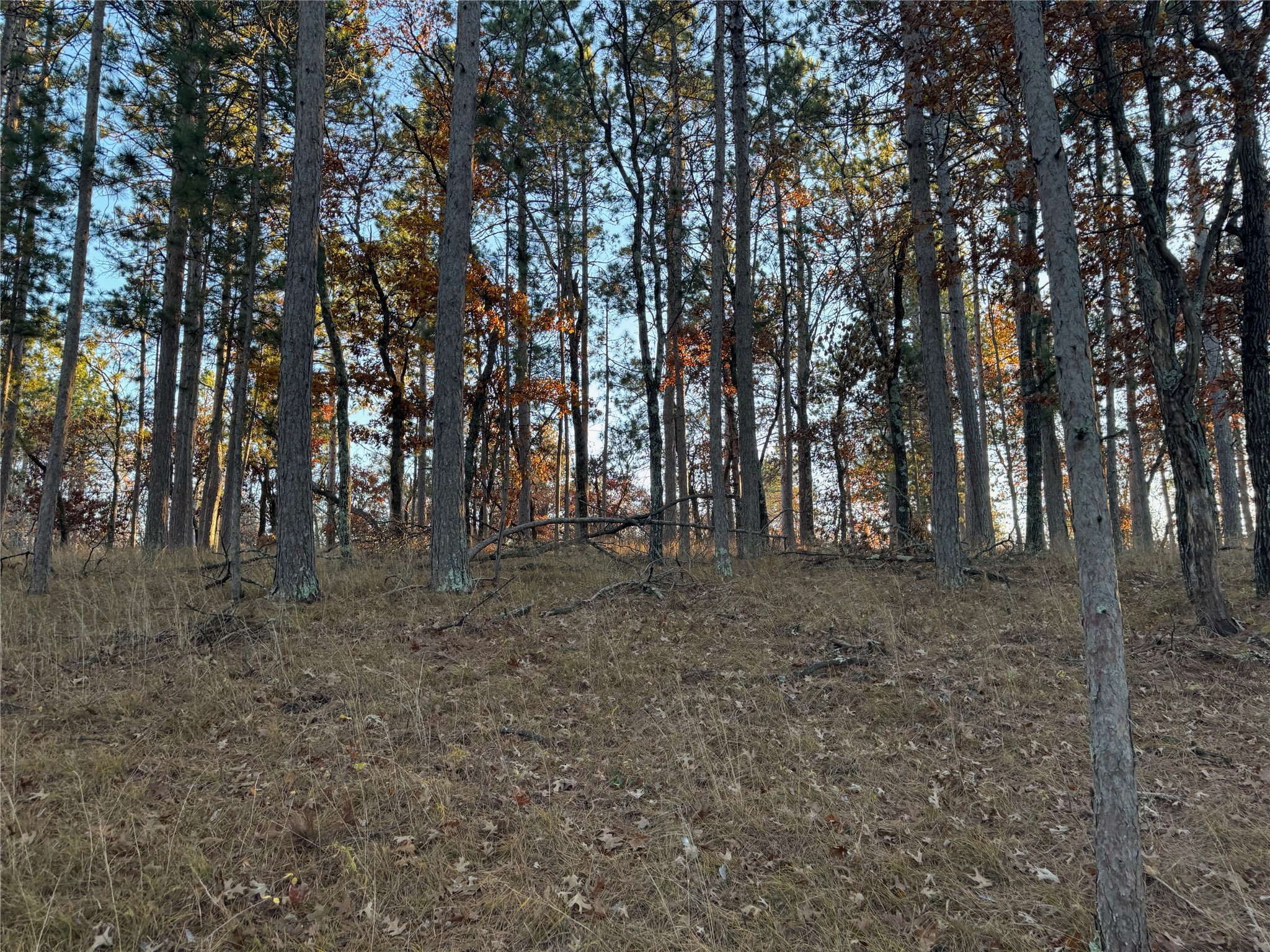 Lot 4 Big Sand Road Property Photo 22